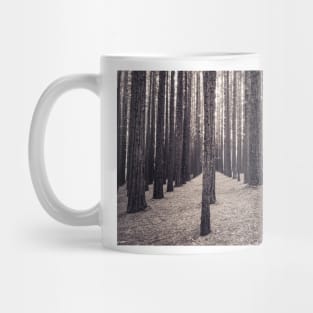 Speckled light & tall trees Mug